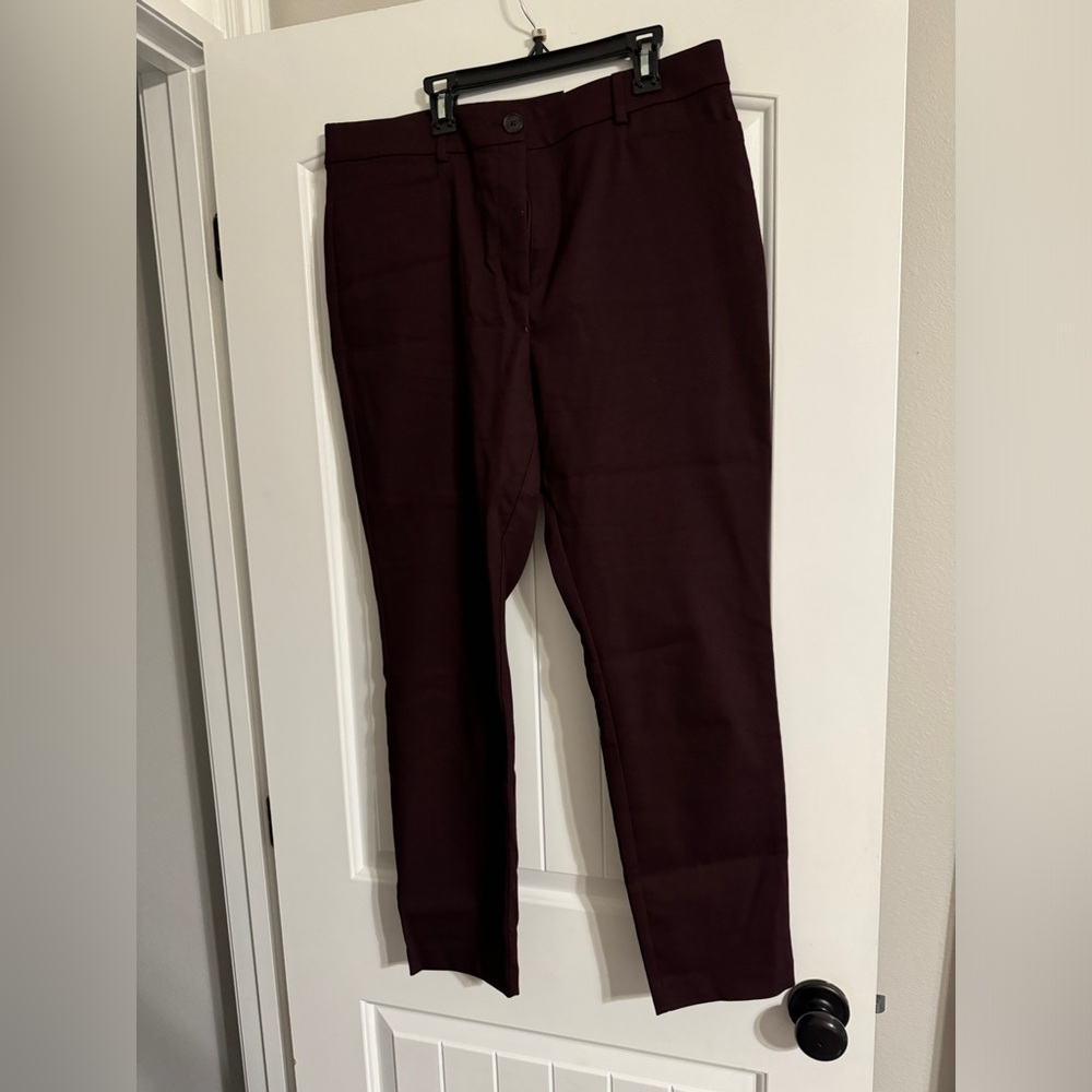 Loft the Sutton Skinny pants